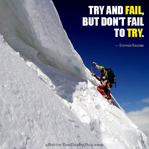 Try and fail but don't fail to try.